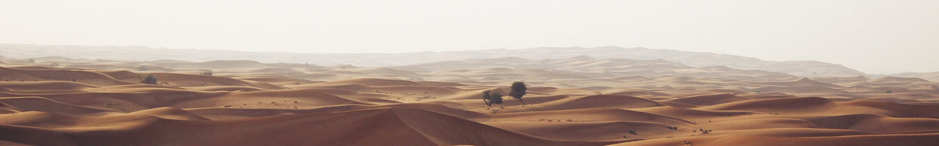 غҵ޹˾